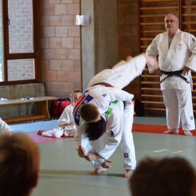 judo