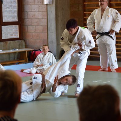 judo