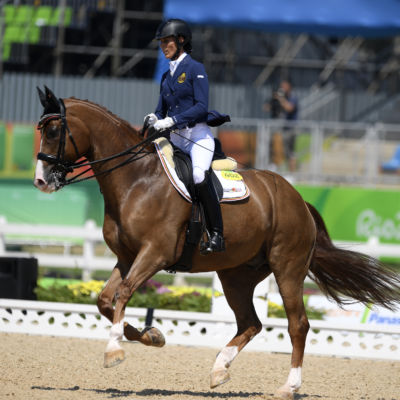 Equitation Michèle George Rio