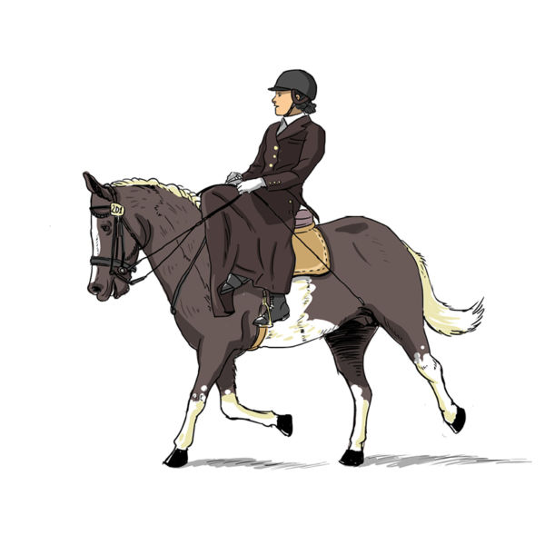 Dessins - equitation