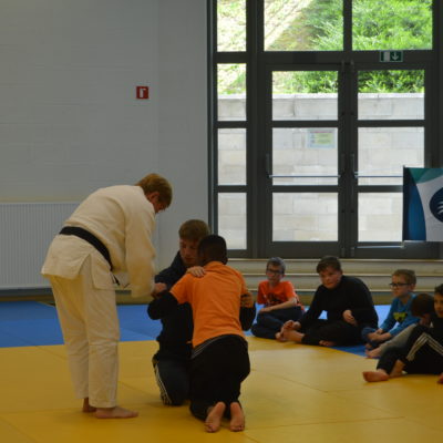 Judo 8