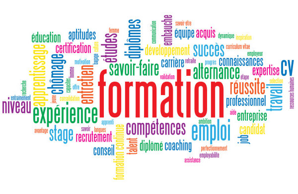 Nuage de Tags “FORMATION” (cv études travail continue stage)