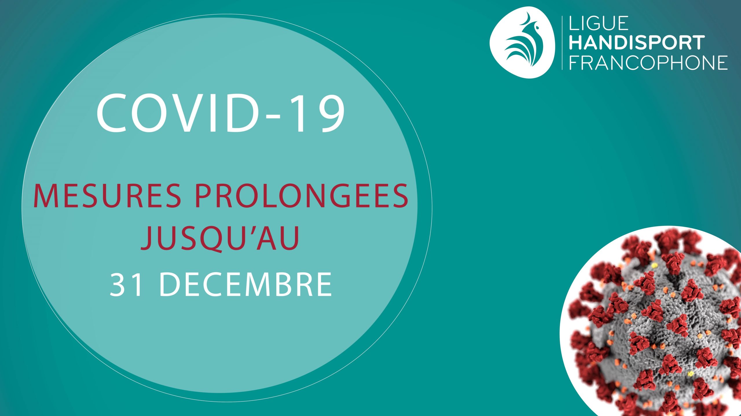 Visuel COVID – 25 novembre – réduit