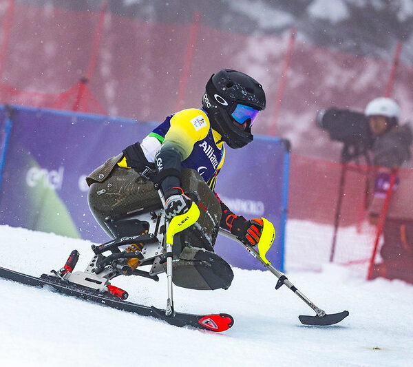 55152782703_3e049f21f7_c