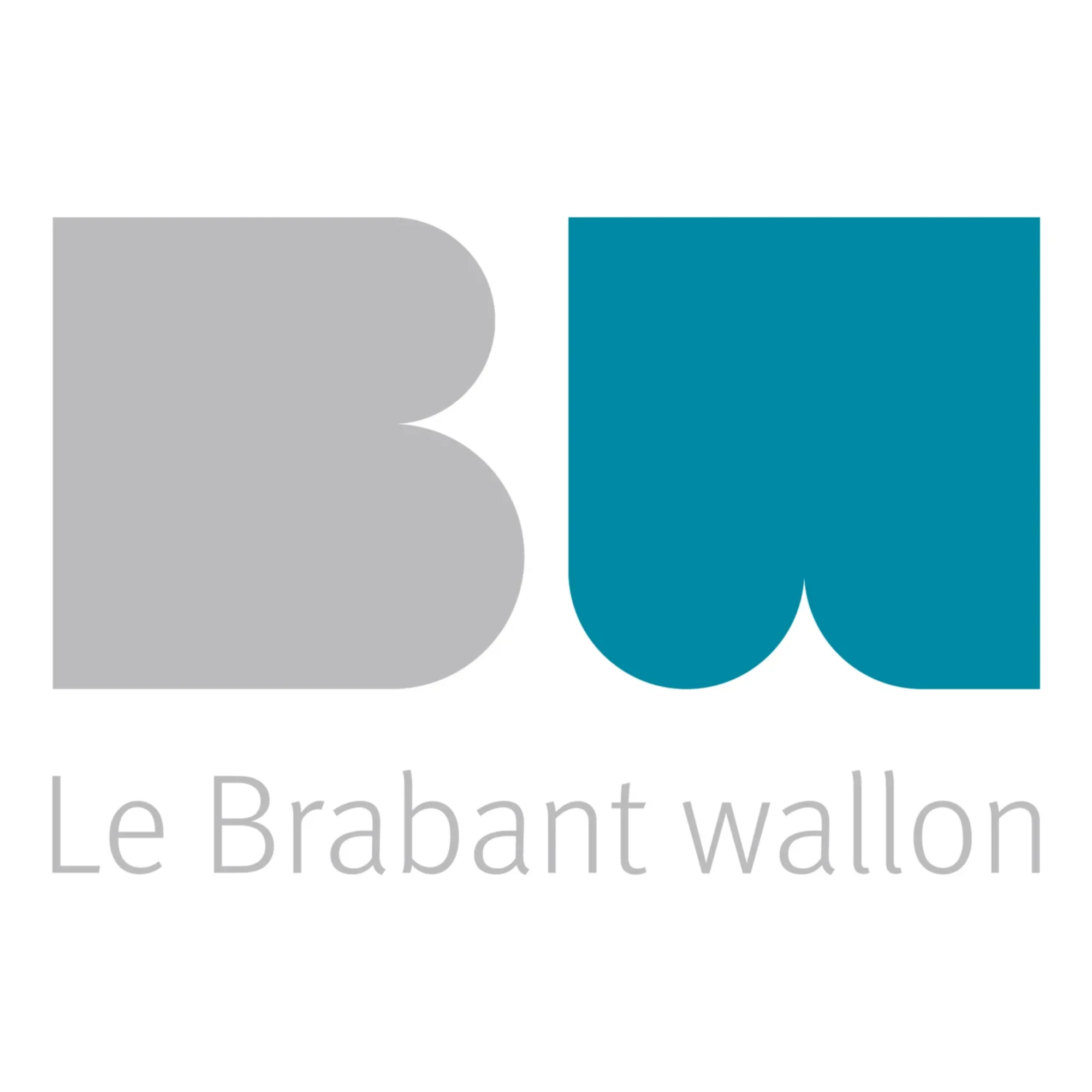 Logo brabant wallon carré